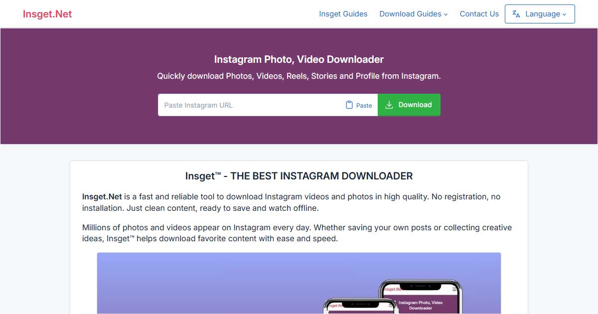 Insget - Product Image