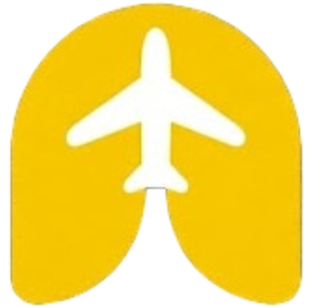 Fly2Any logo