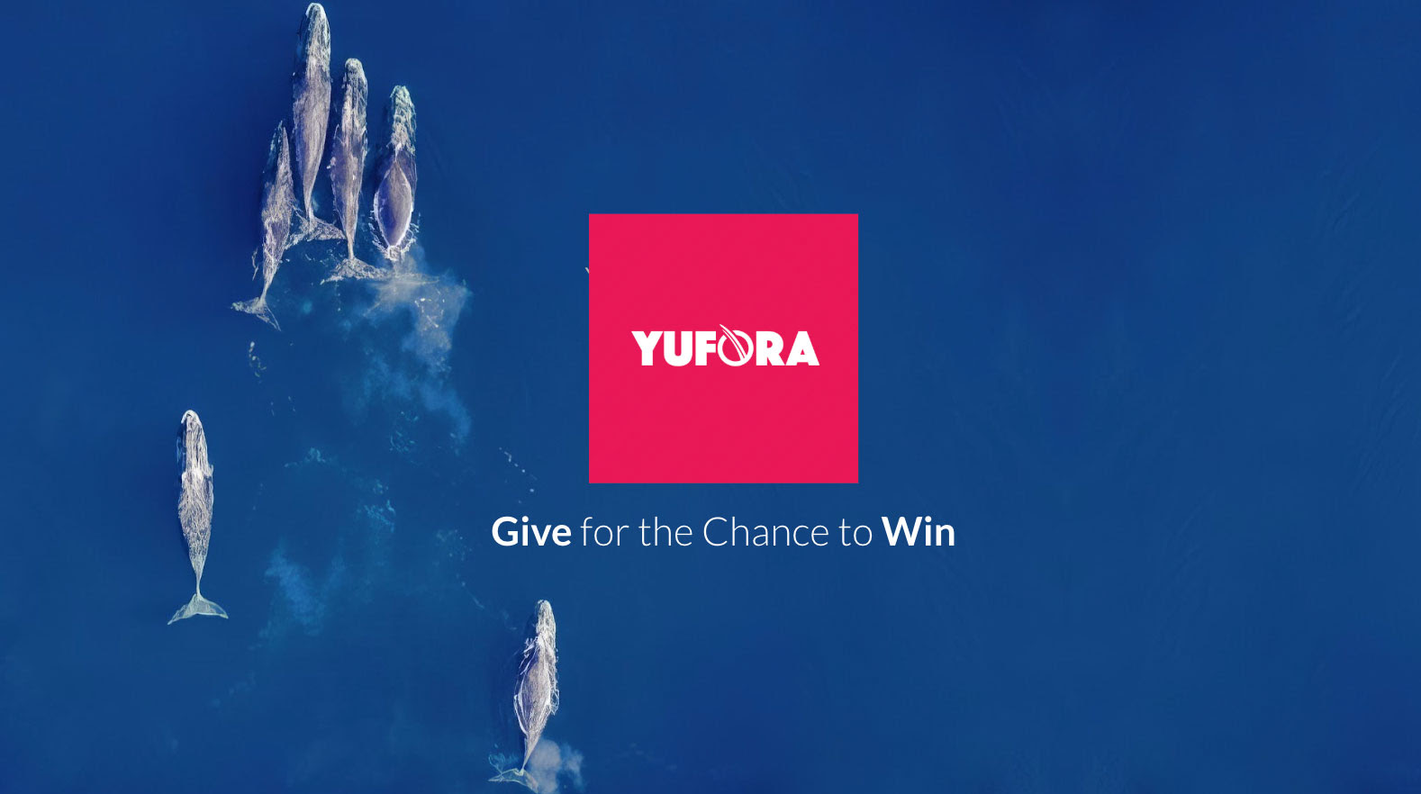 Yufora - Product Image