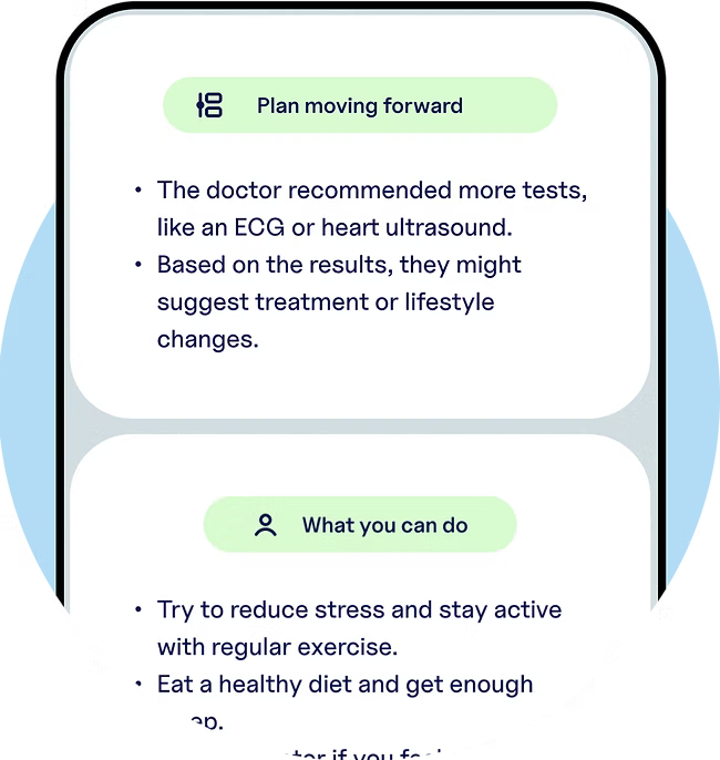 Ditto - Product Image