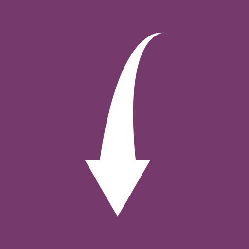 Insget logo