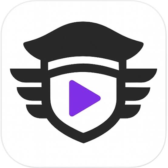 Playlist Pilot logo