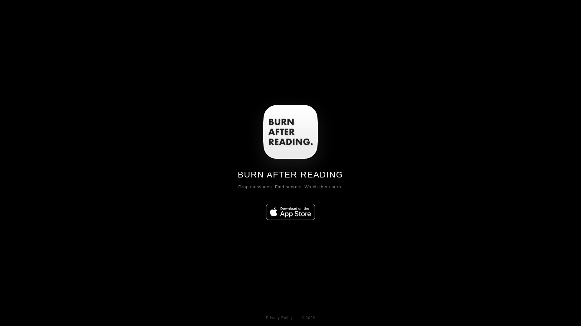Burn After Reading - Product Image